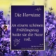 Hornissen_KDLM_Fantasie in Worten